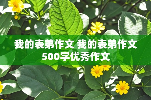 我的表弟作文 我的表弟作文500字优秀作文