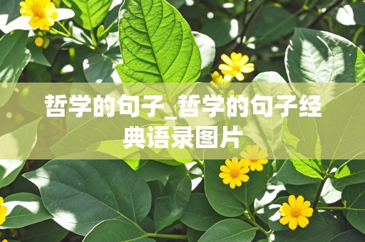 哲学的句子_哲学的句子经典语录图片