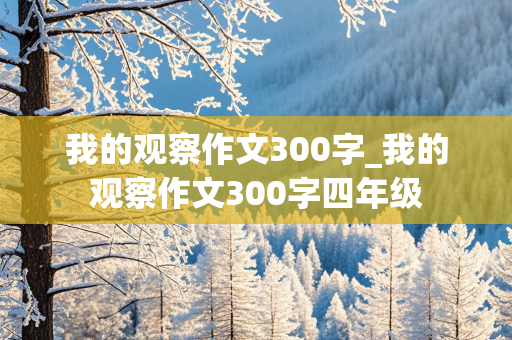 我的观察作文300字_我的观察作文300字四年级