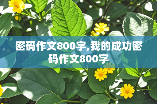 密码作文800字,我的成功密码作文800字