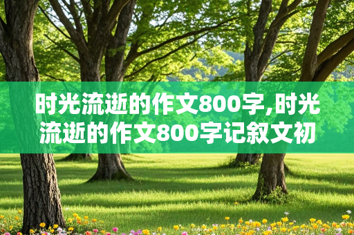 时光流逝的作文800字,时光流逝的作文800字记叙文初中生