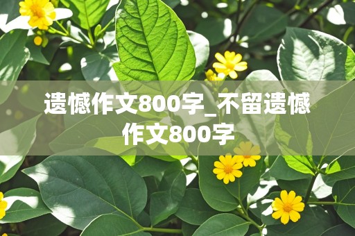 遗憾作文800字_不留遗憾作文800字