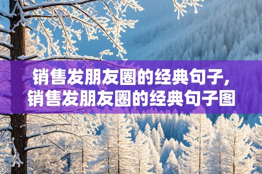 销售发朋友圈的经典句子,销售发朋友圈的经典句子图片