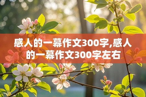 感人的一幕作文300字,感人的一幕作文300字左右