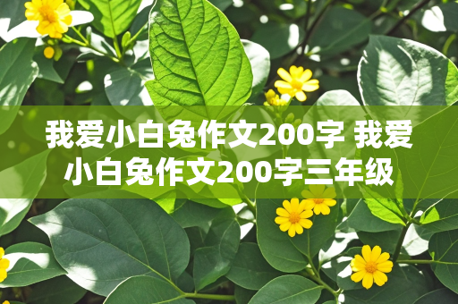 我爱小白兔作文200字 我爱小白兔作文200字三年级