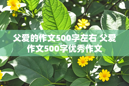 父爱的作文500字左右 父爱作文500字优秀作文