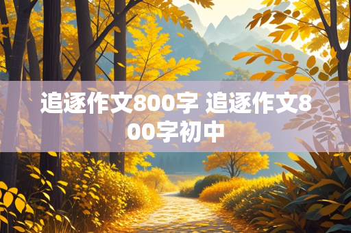 追逐作文800字 追逐作文800字初中