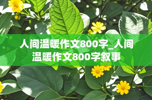 人间温暖作文800字_人间温暖作文800字叙事