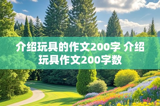 介绍玩具的作文200字 介绍玩具作文200字数