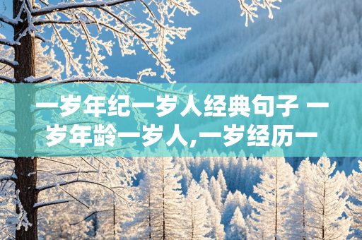 一岁年纪一岁人经典句子 一岁年龄一岁人,一岁经历一岁悟