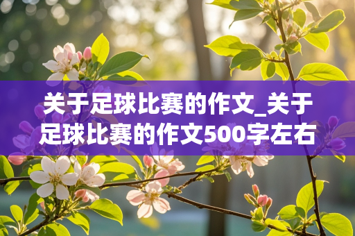 关于足球比赛的作文_关于足球比赛的作文500字左右