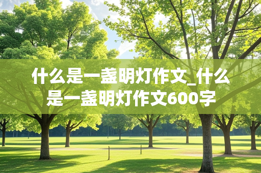 什么是一盏明灯作文_什么是一盏明灯作文600字