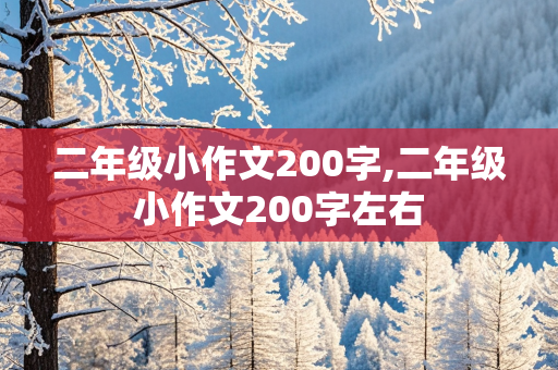 二年级小作文200字,二年级小作文200字左右