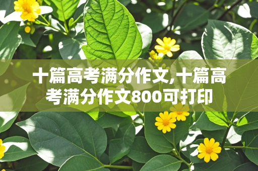 十篇高考满分作文,十篇高考满分作文800可打印