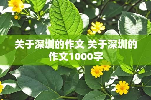 关于深圳的作文 关于深圳的作文1000字