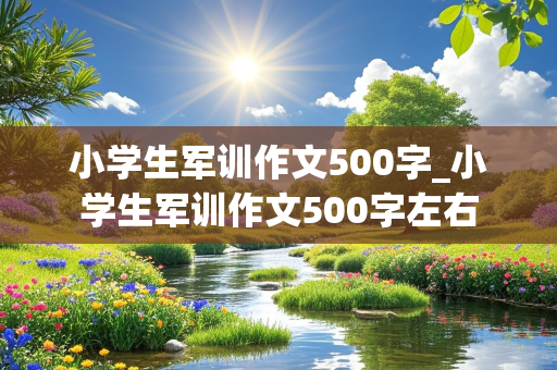 小学生军训作文500字_小学生军训作文500字左右