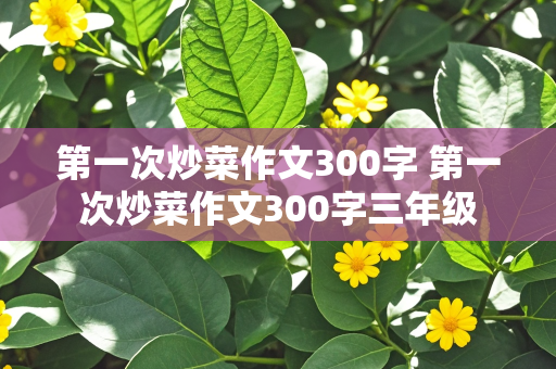 第一次炒菜作文300字 第一次炒菜作文300字三年级