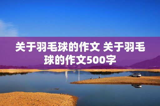 关于羽毛球的作文 关于羽毛球的作文500字