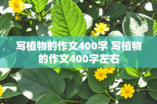 写植物的作文400字 写植物的作文400字左右