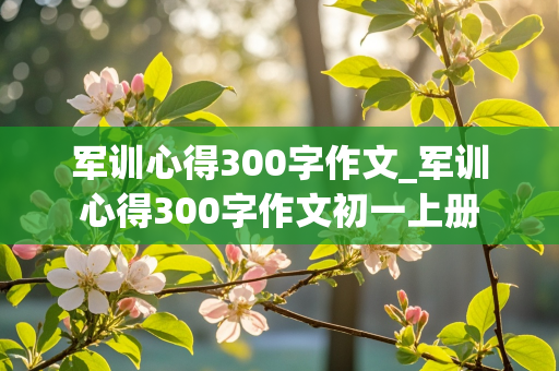 军训心得300字作文_军训心得300字作文初一上册