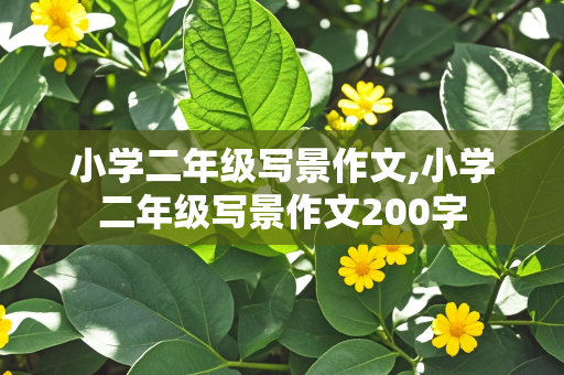 小学二年级写景作文,小学二年级写景作文200字