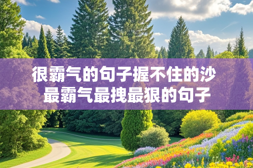 很霸气的句子握不住的沙 最霸气最拽最狠的句子