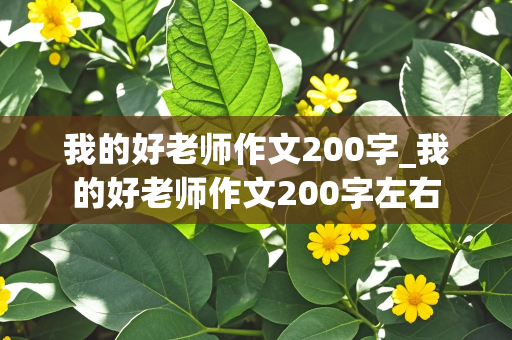 我的好老师作文200字_我的好老师作文200字左右