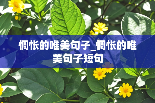 惆怅的唯美句子_惆怅的唯美句子短句