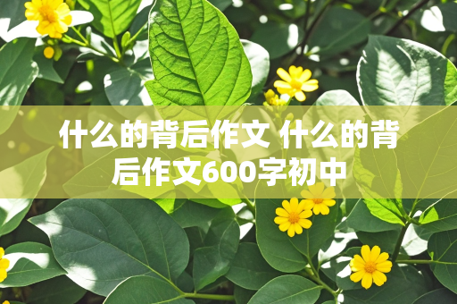 什么的背后作文 什么的背后作文600字初中