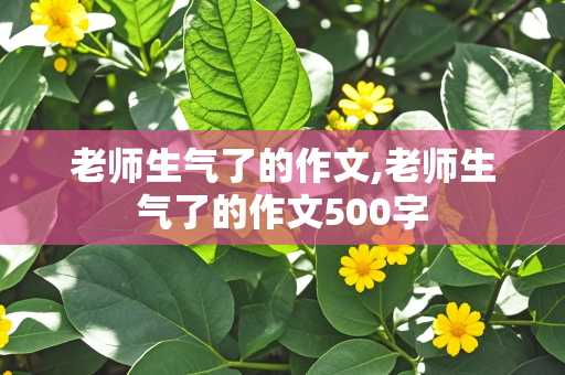 老师生气了的作文,老师生气了的作文500字