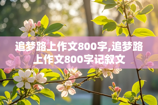 追梦路上作文800字,追梦路上作文800字记叙文