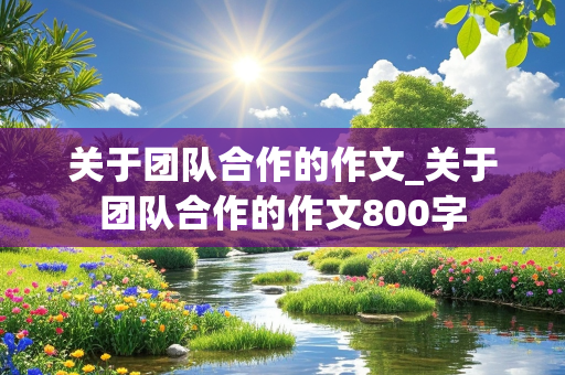 关于团队合作的作文_关于团队合作的作文800字