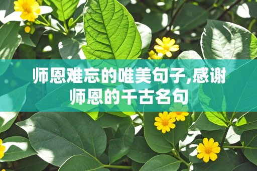 师恩难忘的唯美句子,感谢师恩的千古名句