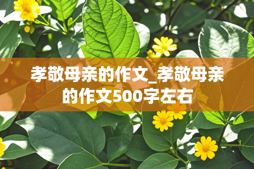 孝敬母亲的作文_孝敬母亲的作文500字左右