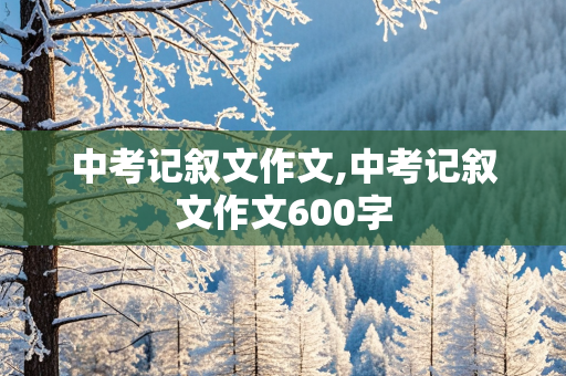 中考记叙文作文,中考记叙文作文600字