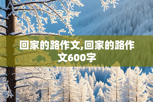 回家的路作文,回家的路作文600字