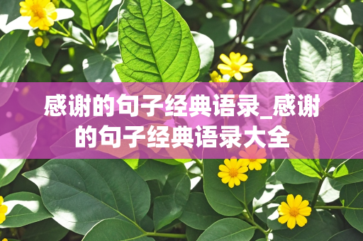 感谢的句子经典语录_感谢的句子经典语录大全