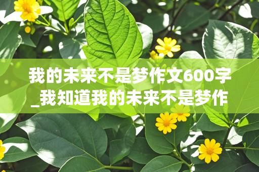 我的未来不是梦作文600字_我知道我的未来不是梦作文600字