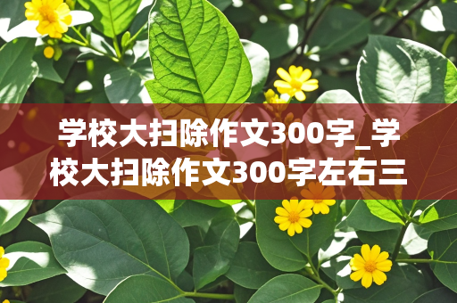 学校大扫除作文300字_学校大扫除作文300字左右三年级