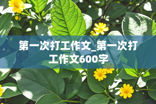 第一次打工作文_第一次打工作文600字