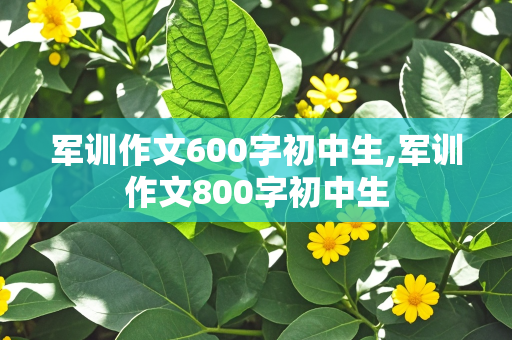 军训作文600字初中生,军训作文800字初中生