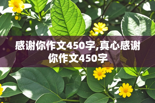 感谢你作文450字,真心感谢你作文450字