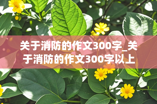 关于消防的作文300字_关于消防的作文300字以上