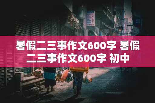 暑假二三事作文600字 暑假二三事作文600字 初中