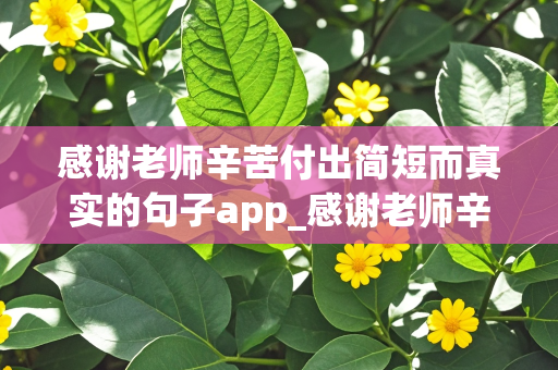 感谢老师辛苦付出简短而真实的句子app_感谢老师辛苦付出的经典句子