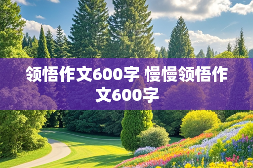 领悟作文600字 慢慢领悟作文600字