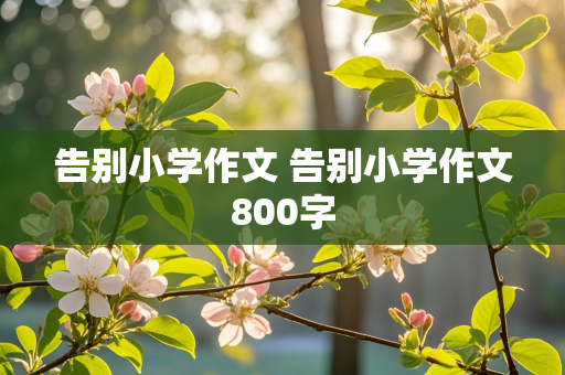 告别小学作文 告别小学作文800字