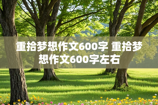 重拾梦想作文600字 重拾梦想作文600字左右