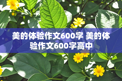 美的体验作文600字 美的体验作文600字高中