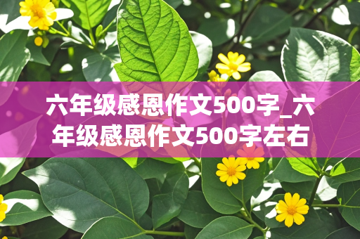 六年级感恩作文500字_六年级感恩作文500字左右